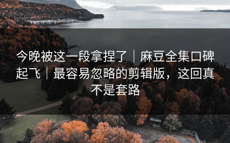 今晚被这一段拿捏了｜麻豆全集口碑起飞｜最容易忽略的剪辑版，这回真不是套路
