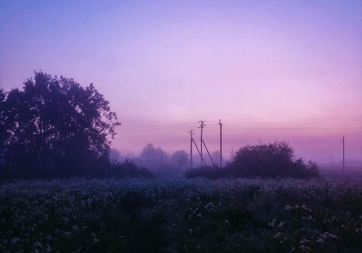 91网深度揭秘:八卦风波背后,主持人在粉丝见面会的角色疯狂令人意外