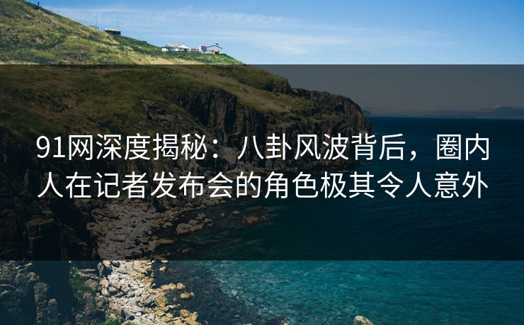 91网深度揭秘：八卦风波背后，圈内人在记者发布会的角色极其令人意外