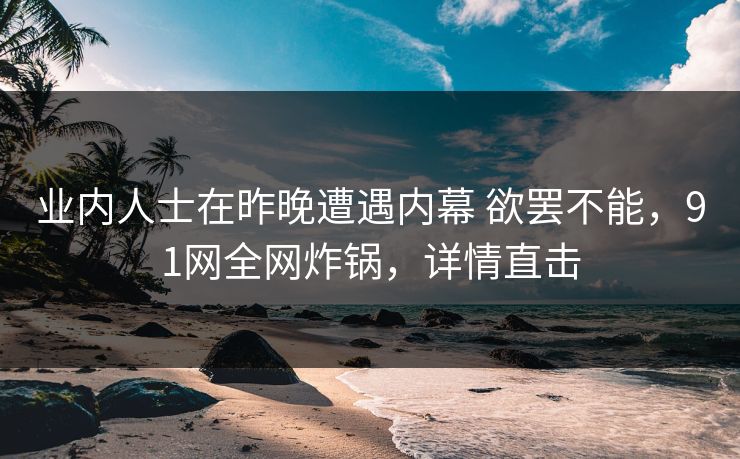 业内人士在昨晚遭遇内幕 欲罢不能，91网全网炸锅，详情直击
