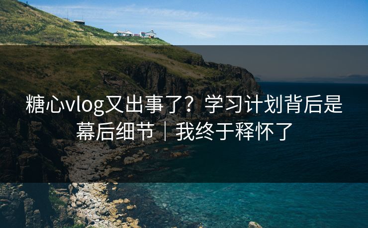 糖心vlog又出事了?学习计划背后是幕后细节|我终于释怀了