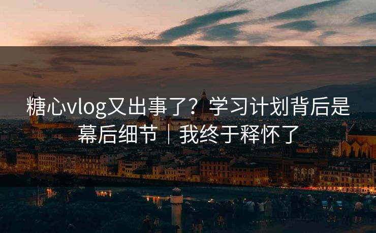 糖心vlog又出事了？学习计划背后是幕后细节｜我终于释怀了
