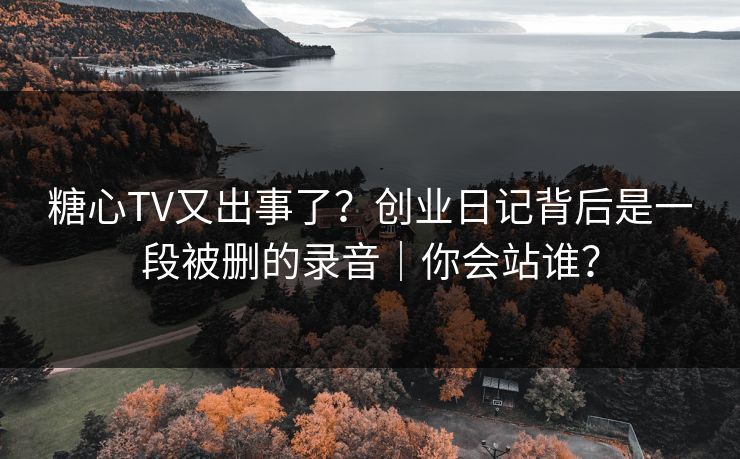 糖心TV又出事了？创业日记背后是一段被删的录音｜你会站谁？