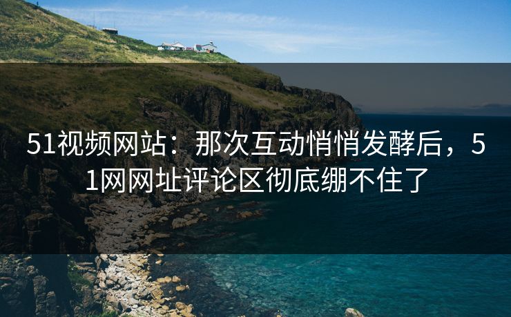 51视频网站:那次互动悄悄发酵后,51网网址评论区彻底绷不住了